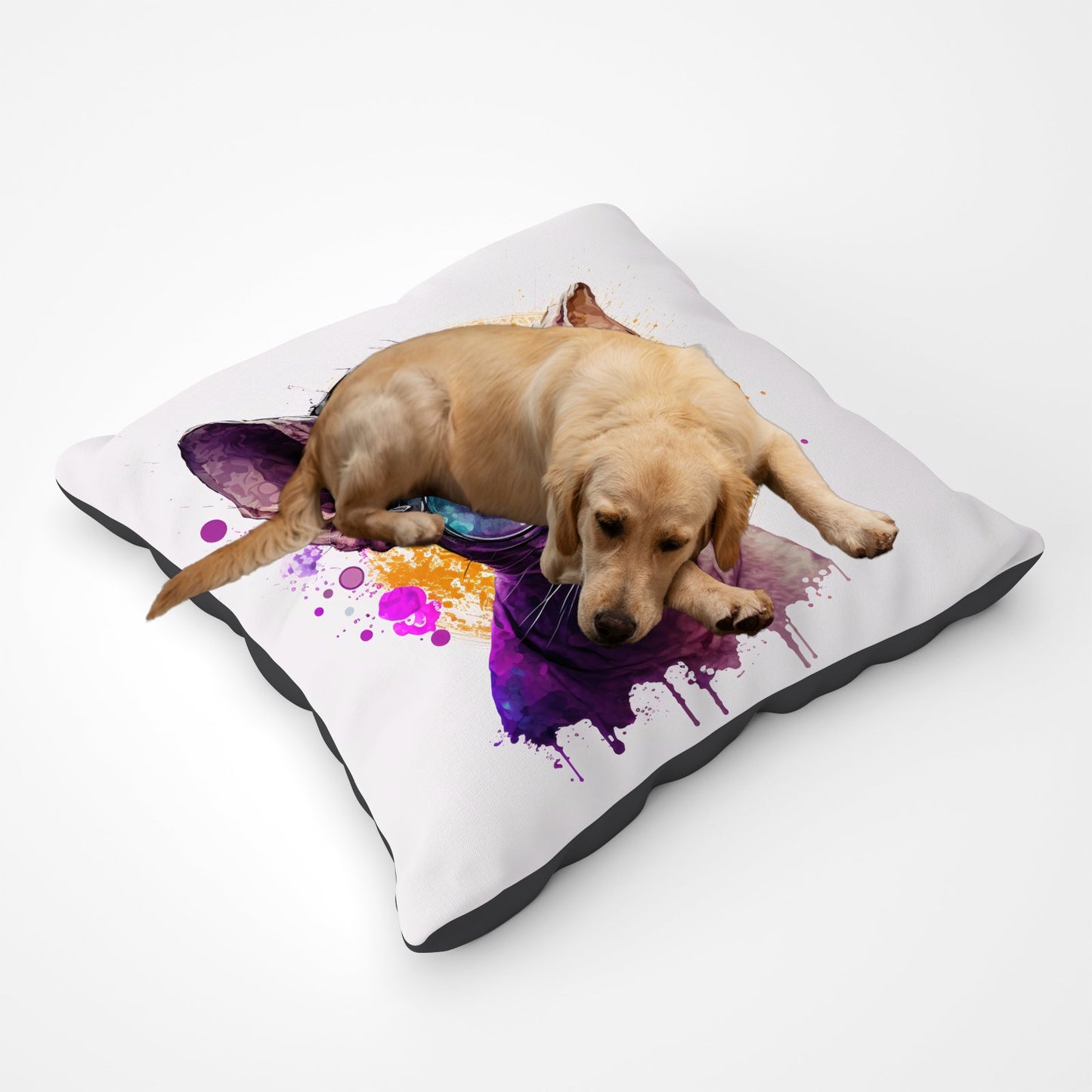 Cornish Rex With Glasses Splashart Pet Bed