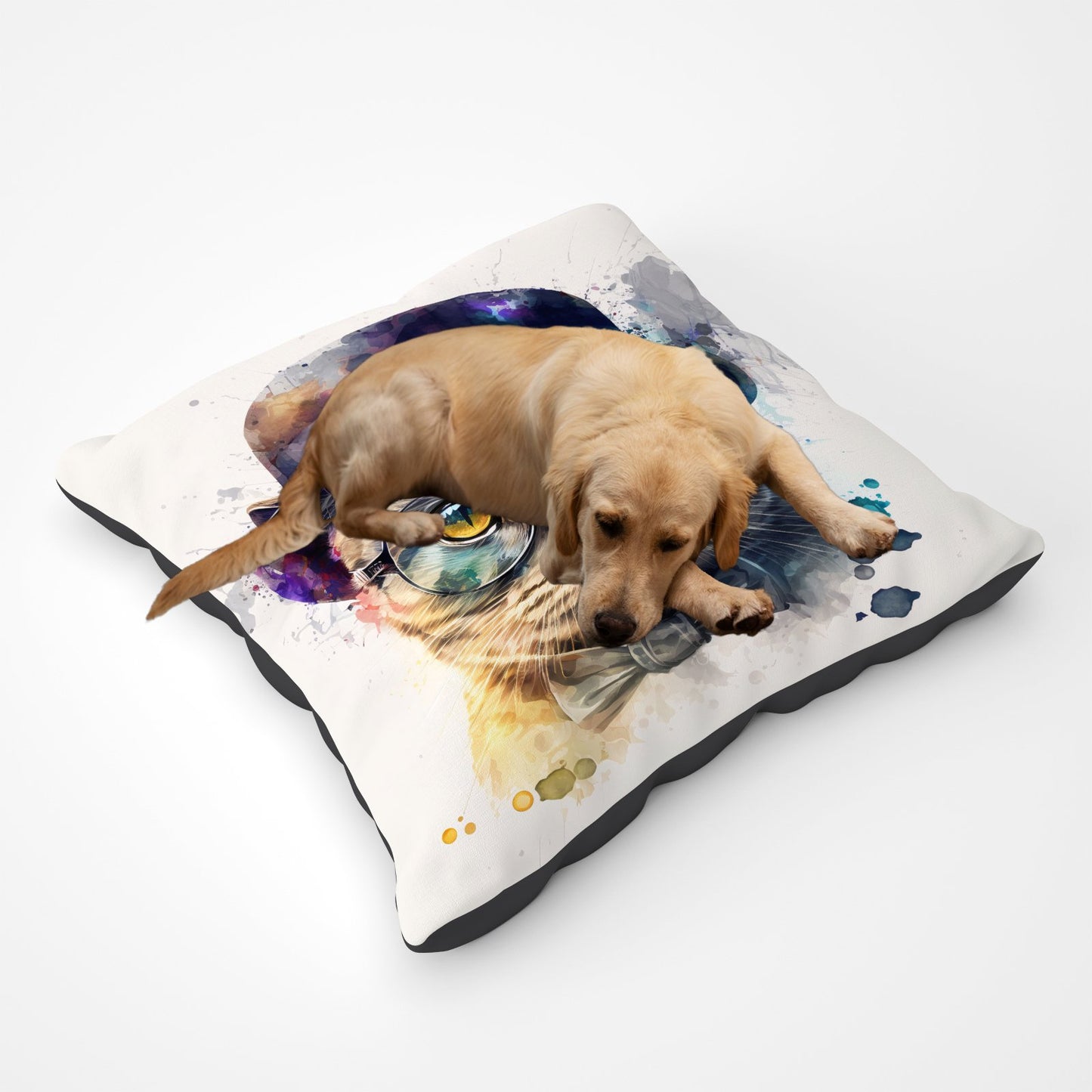 Scottish Fold Cat Splashart Pet Bed