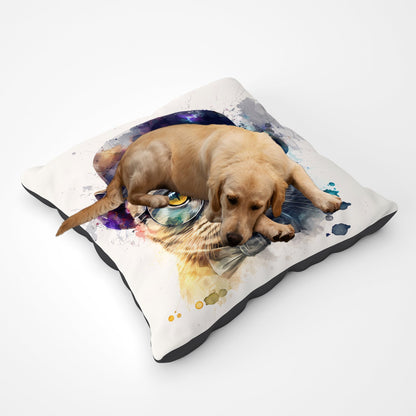 Scottish Fold Cat Splashart Pet Bed