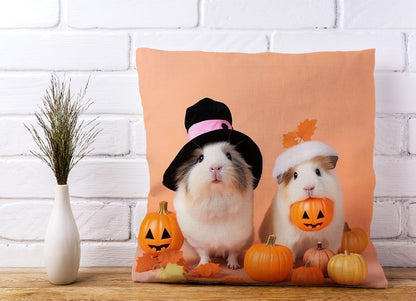 Trick Or Treating Guinea Pigs Cushions