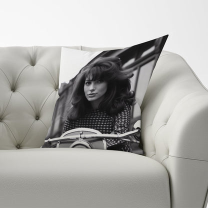 1960 Riding Out Cushions