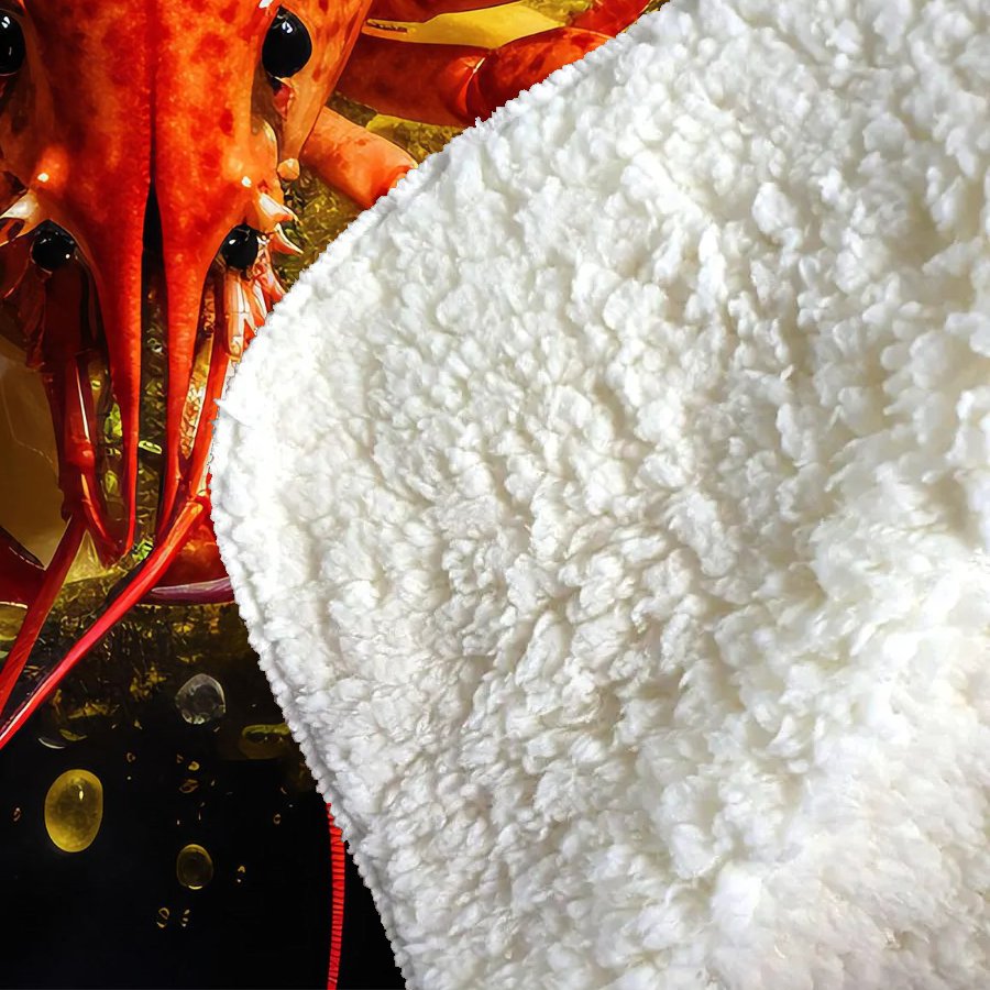 Lobster On Lemons Sherpa Blanket