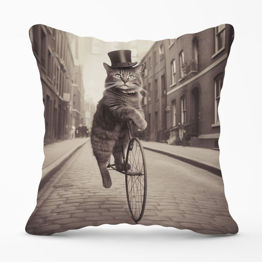 Victorian Cat Riding A Bike Cushions