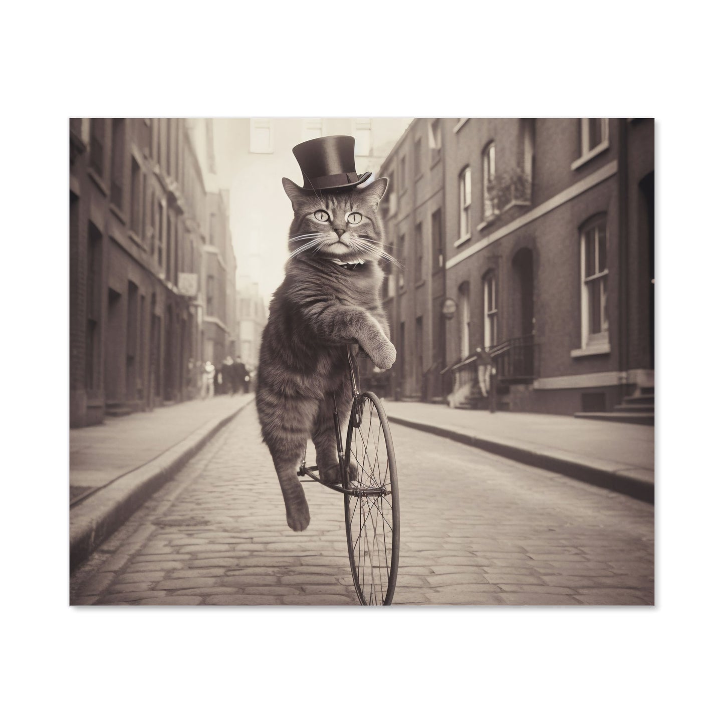 Victorian Cat Riding A Bike Kitchen Splashback