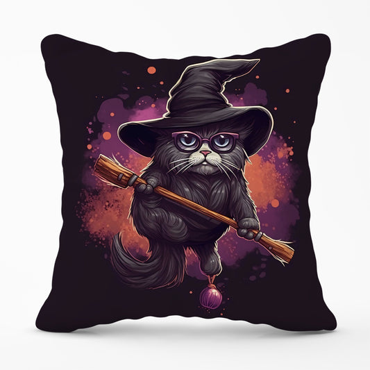 Cat And A Broom Cushions