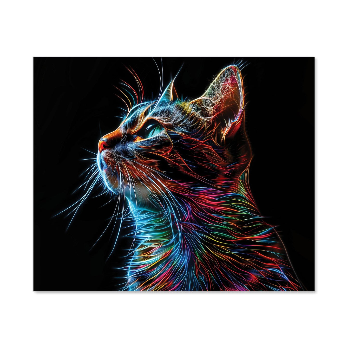 Electric Cat Whiskers Kitchen Splashback