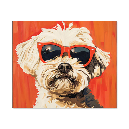 Cool Pup in Sunglasses Kitchen Splashback