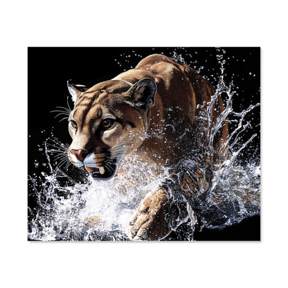Puma's Determined Splash Kitchen Splashback