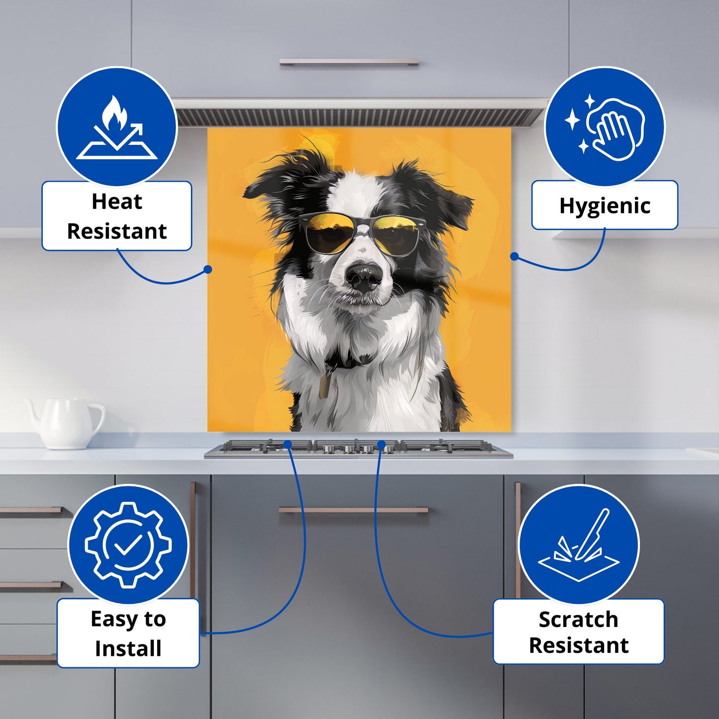 Cool Collie with Attitude Kitchen Splashback