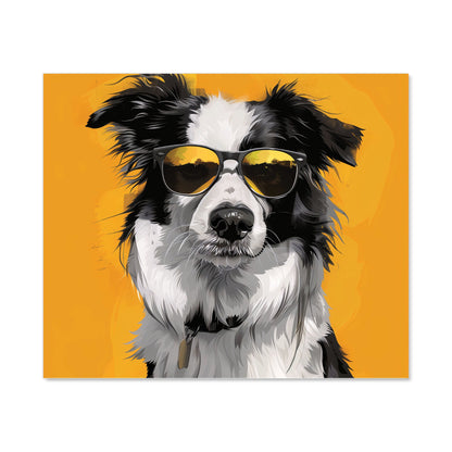 Cool Collie with Attitude Kitchen Splashback