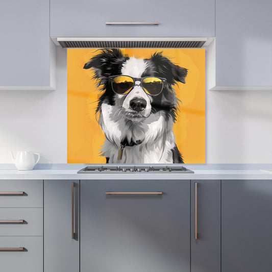 Cool Collie with Attitude Kitchen Splashback