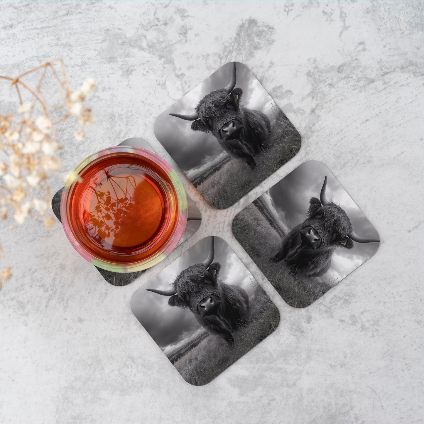 Black And White Highland Cow Coasters