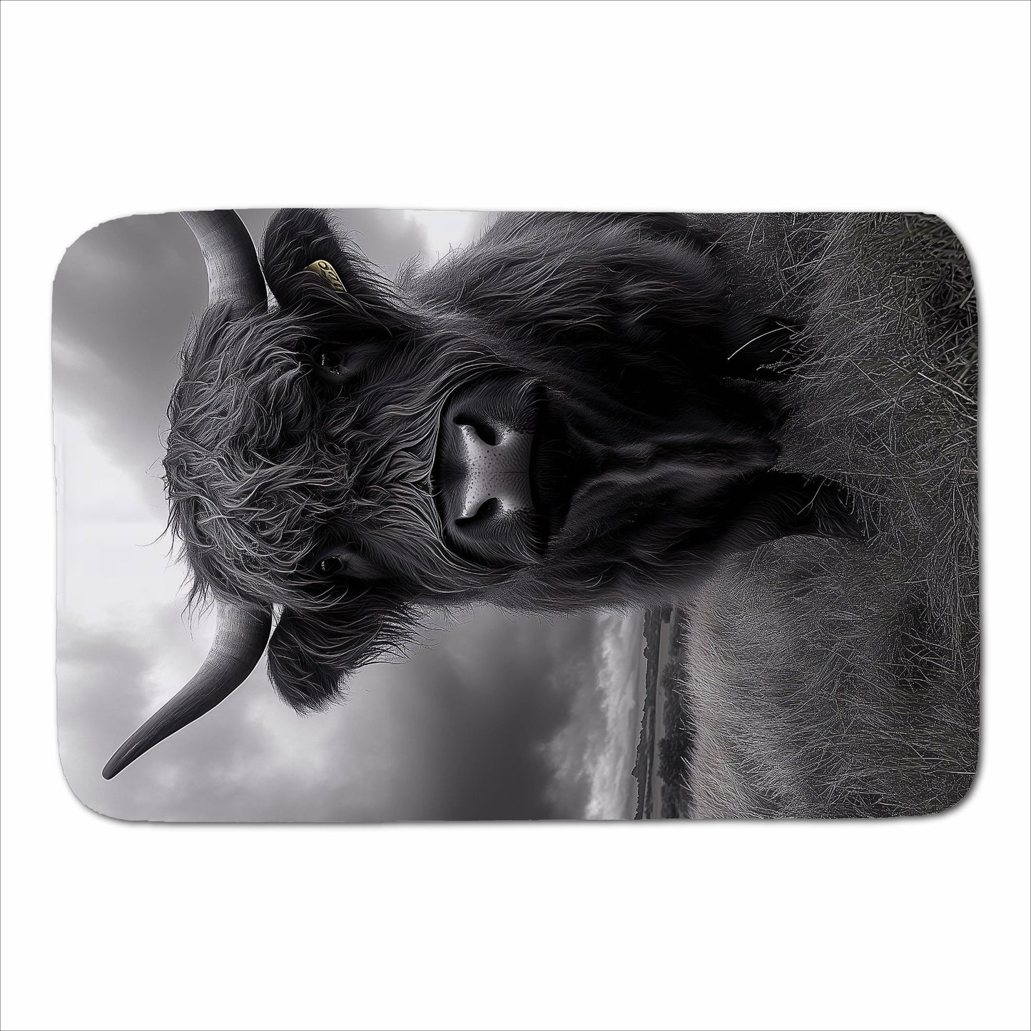 Black And White Highland Cow Sherpa Blanket