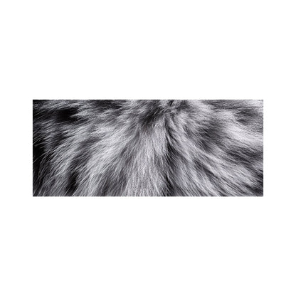 Silver Tabby Cat Print Glass Bathroom Splashback