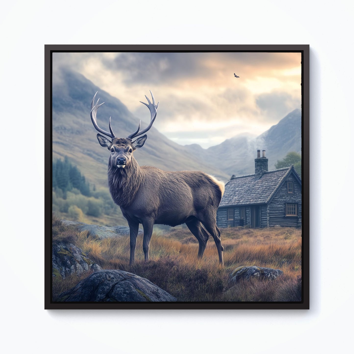 Highland Stag By The Cottage Framed Canvas