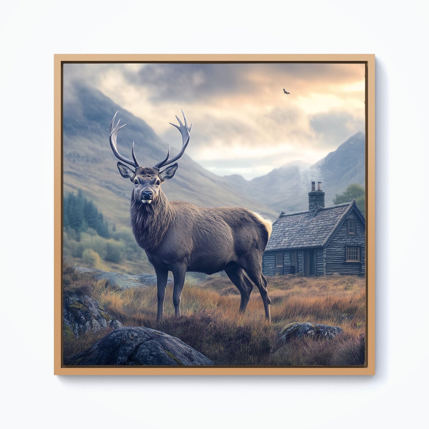 Highland Stag By The Cottage Framed Canvas
