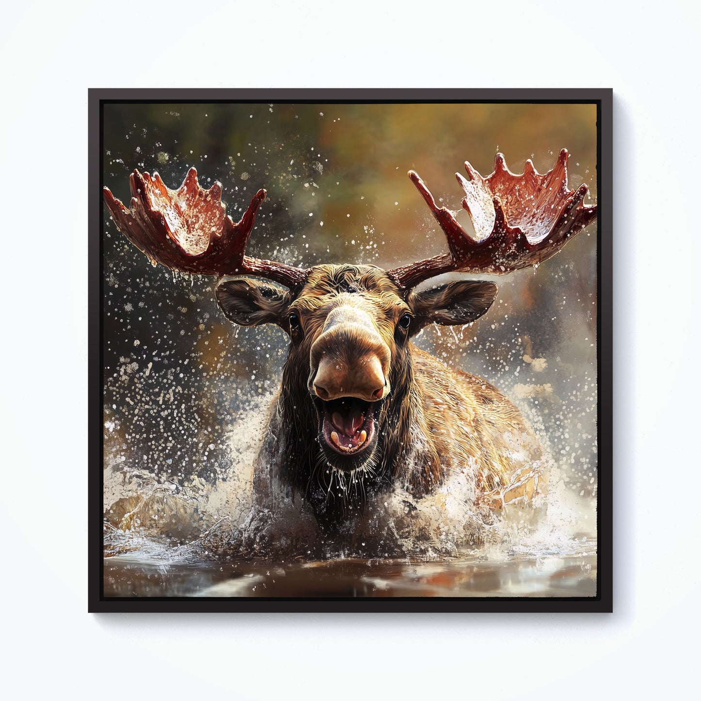 Splashart Moose Enjoying A Swim Framed Canvas