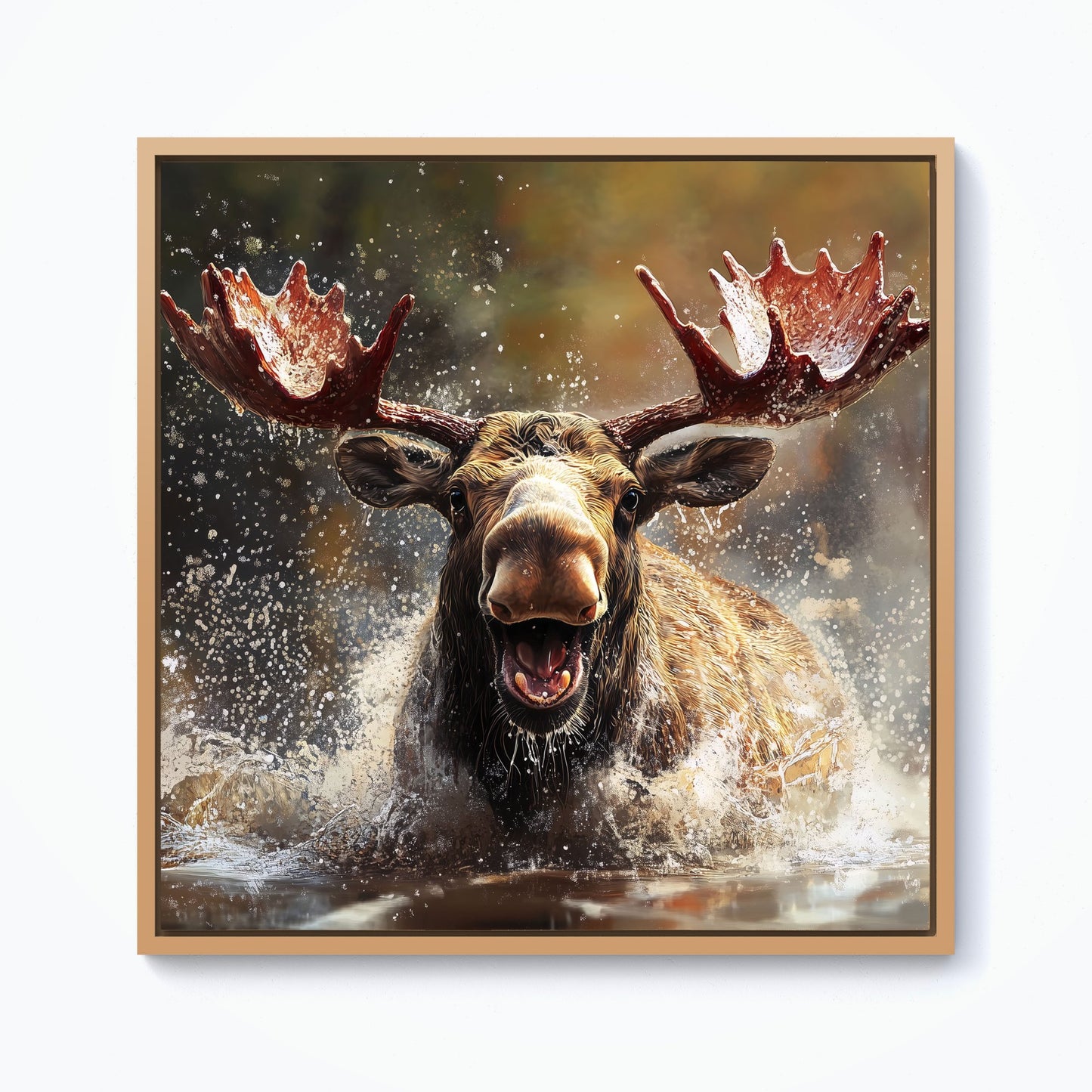 Splashart Moose Enjoying A Swim Framed Canvas
