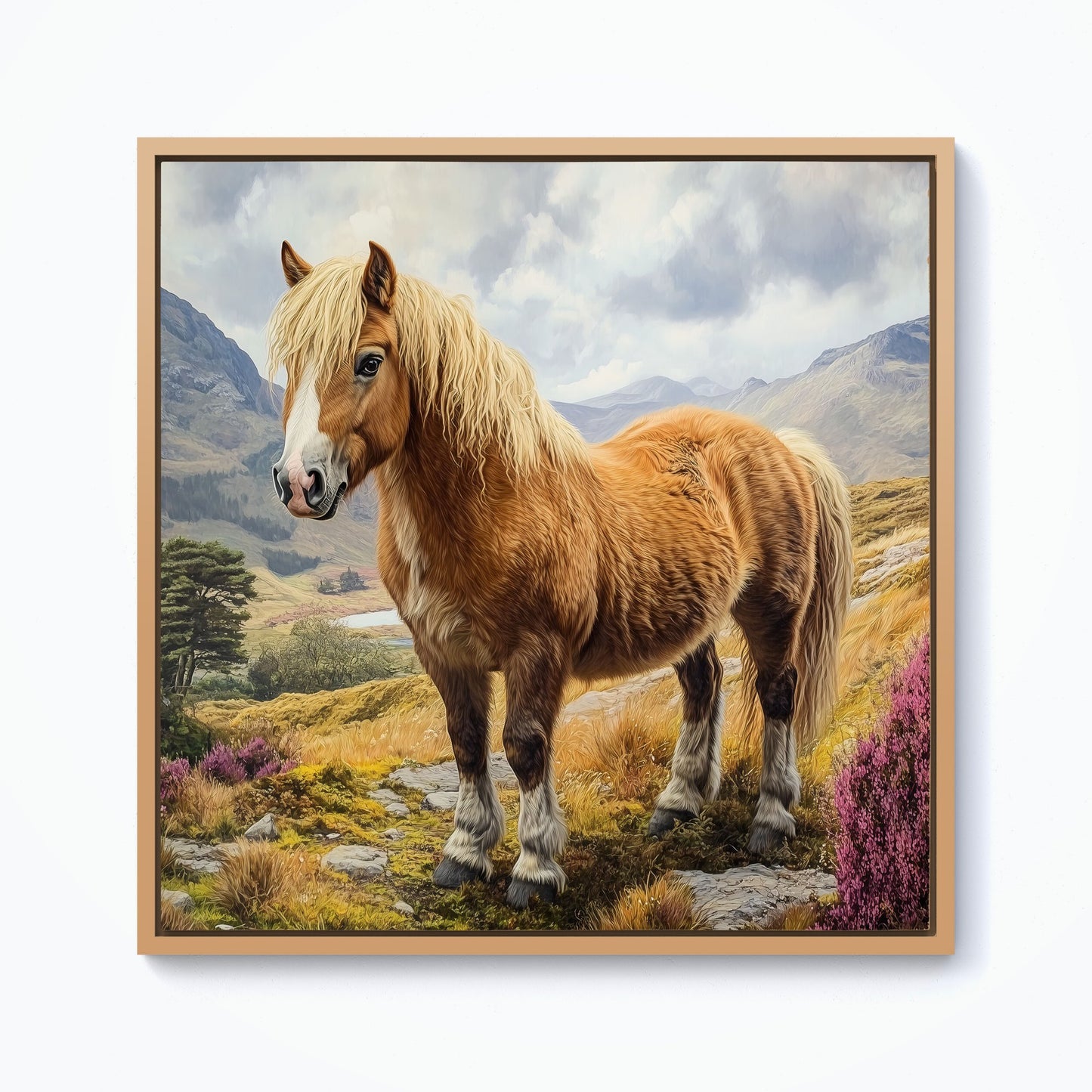 Eriskay Pony In The Highlands Framed Canvas