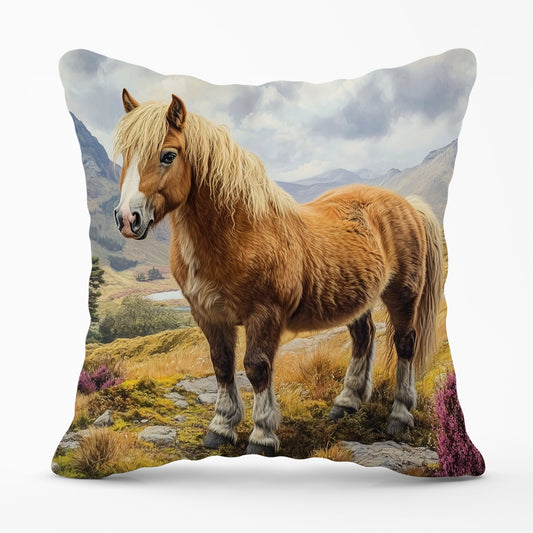 Eriskay Pony In The Highlands Cushions