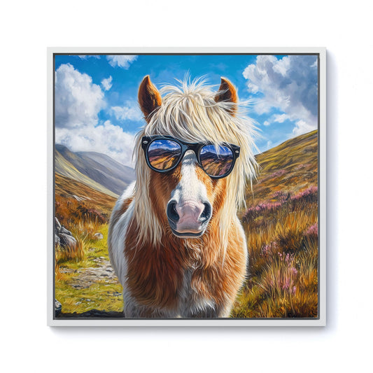 Shetland Pony Wearing Glasses Framed Canvas