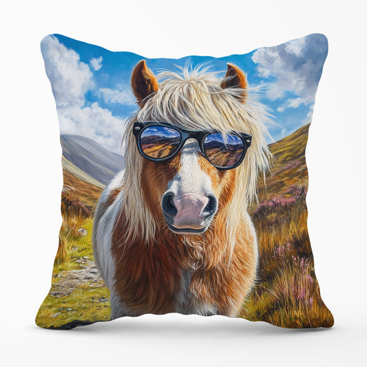 Shetland Pony Wearing Glasses Cushions