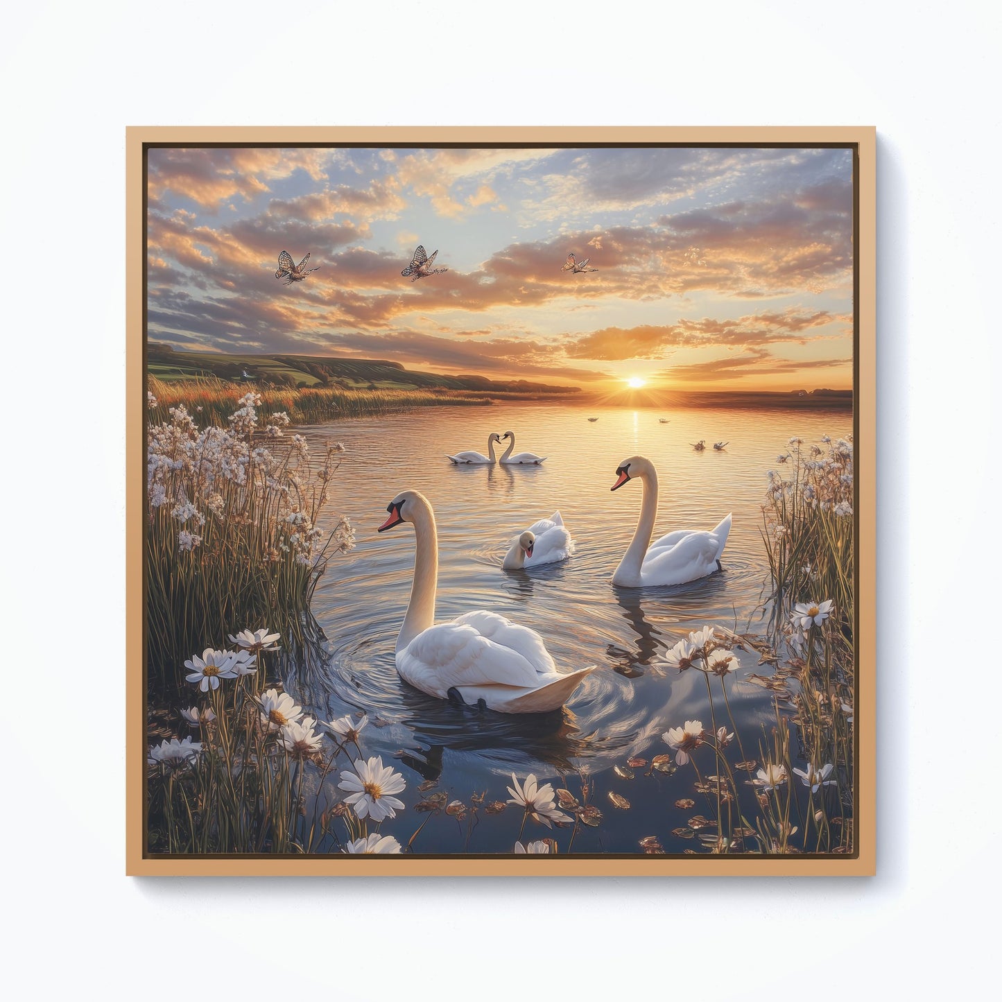 Swans At Sunset In A Beautiful Lake Framed Canvas