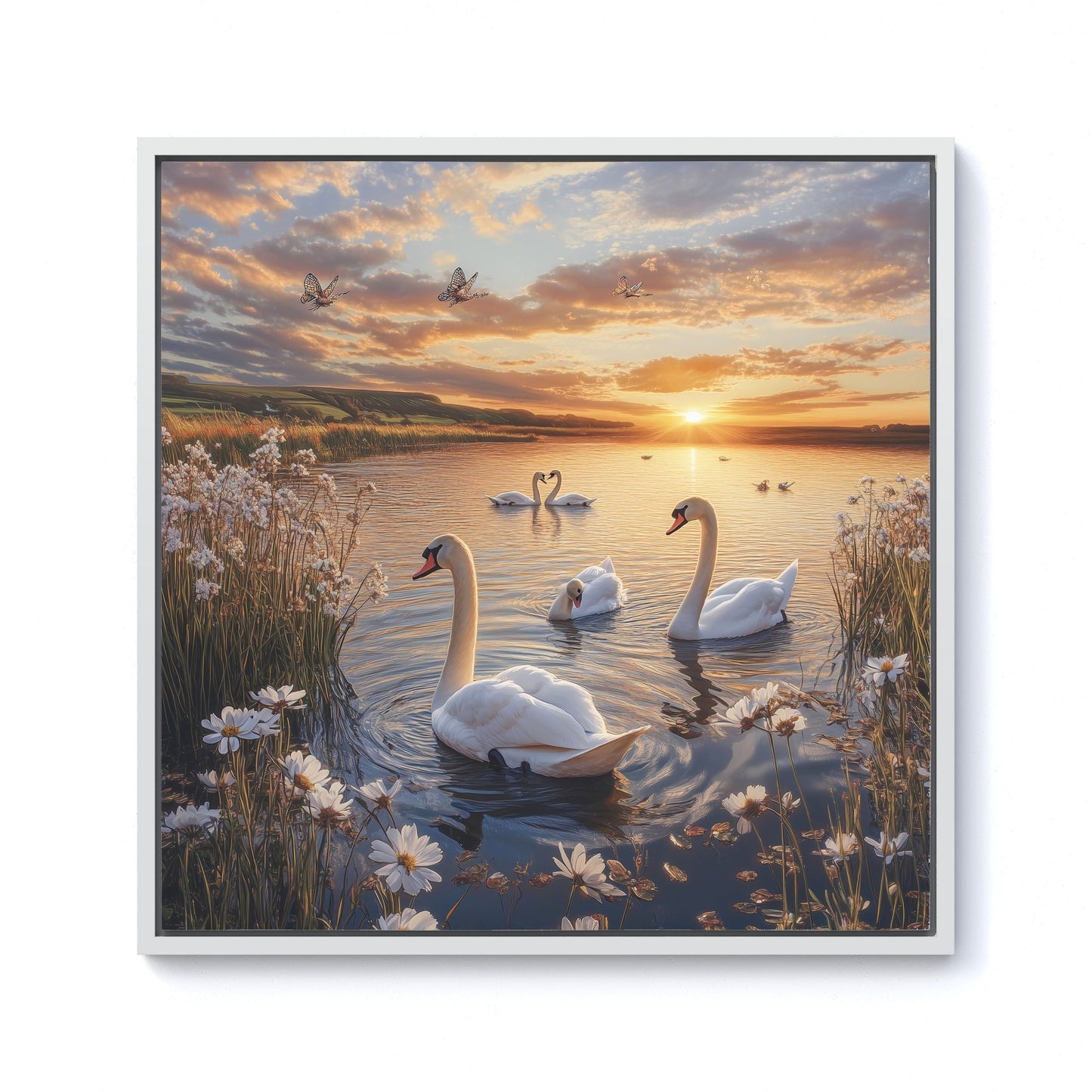 Swans At Sunset In A Beautiful Lake Framed Canvas