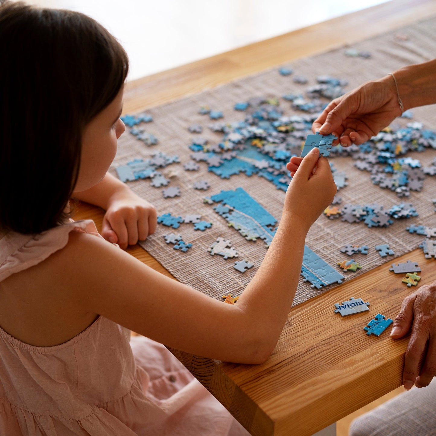 Border Collie Dog Jigsaw Puzzle