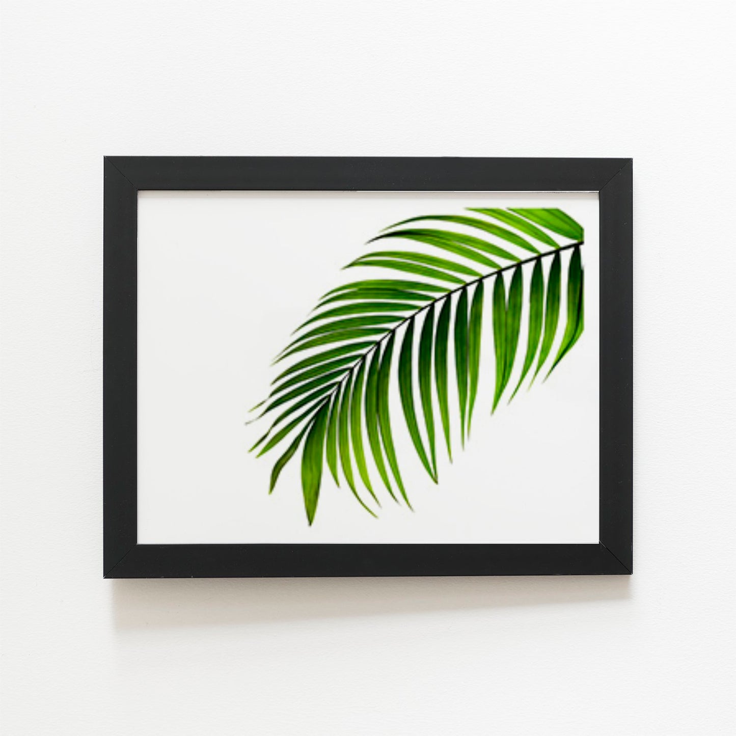 Single Palm Leaf Art Prints