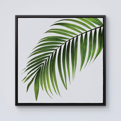 Single Palm Leaf Framed Canvas