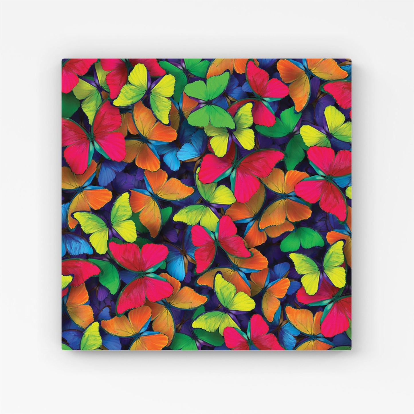 Rainbow Butterflies Canvas