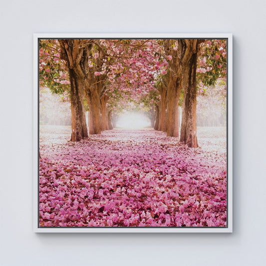 Pink Flower Tree Tunnel Framed Canvas
