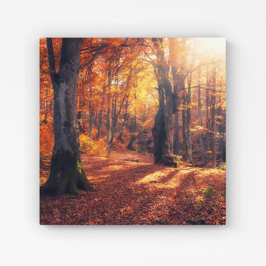 Autumn Forest Canvas