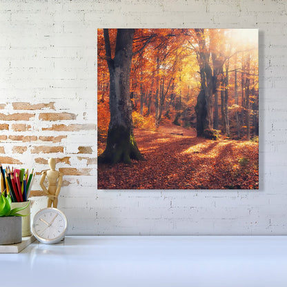 Autumn Forest Canvas