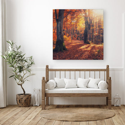 Autumn Forest Canvas