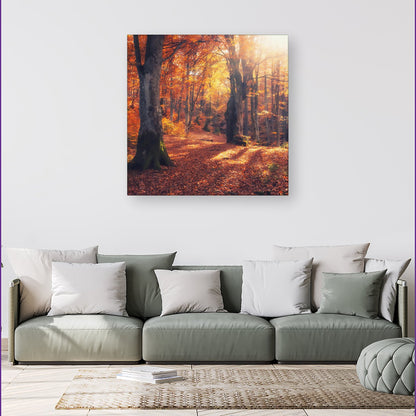 Autumn Forest Canvas