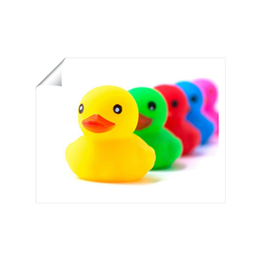 Colourful Ducks In A Row Art Prints