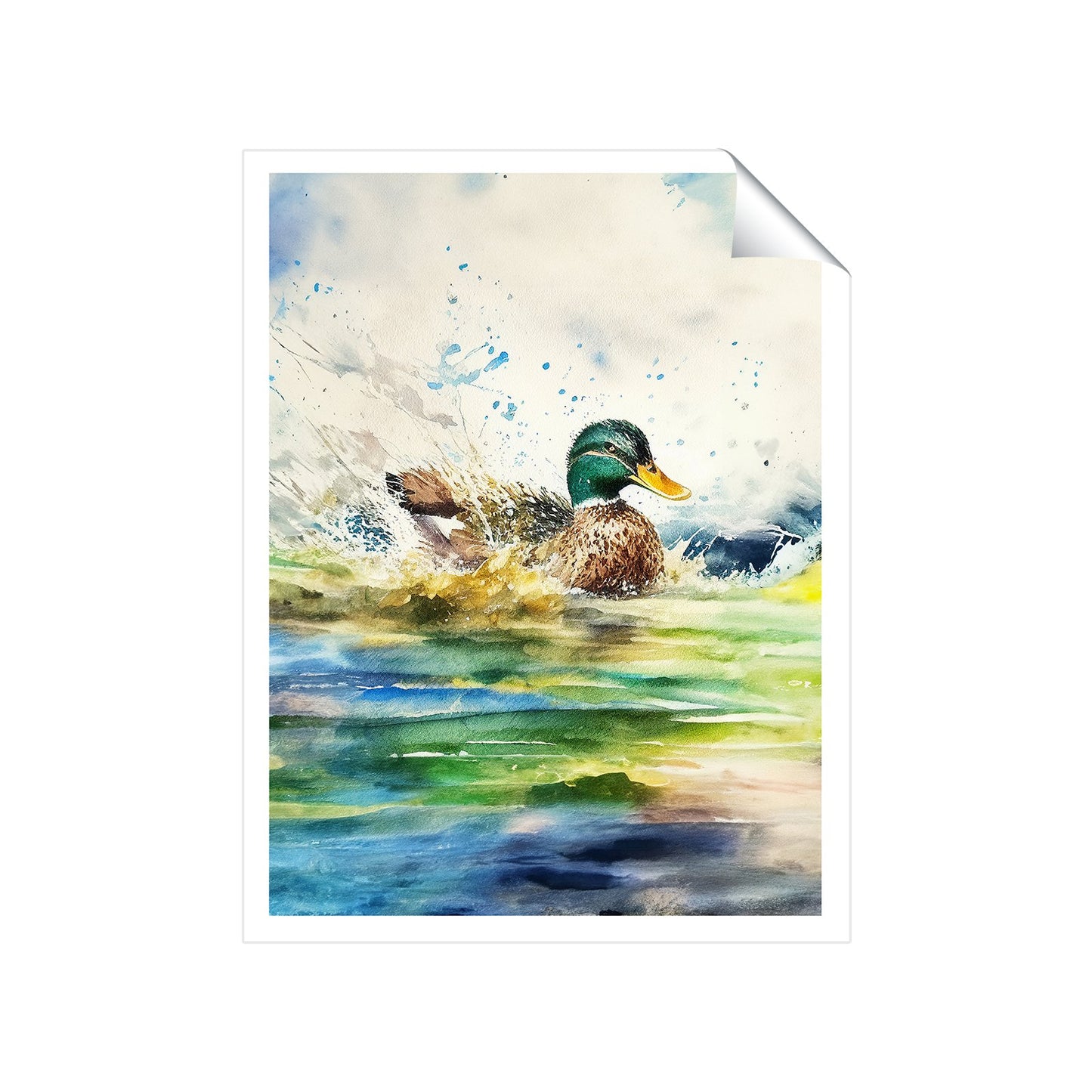Splashing Mallard Watercolour Art Prints