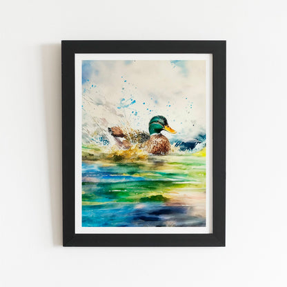 Splashing Mallard Watercolour Art Prints