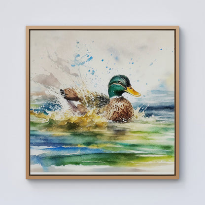 Splashing Mallard Watercolour Framed Canvas
