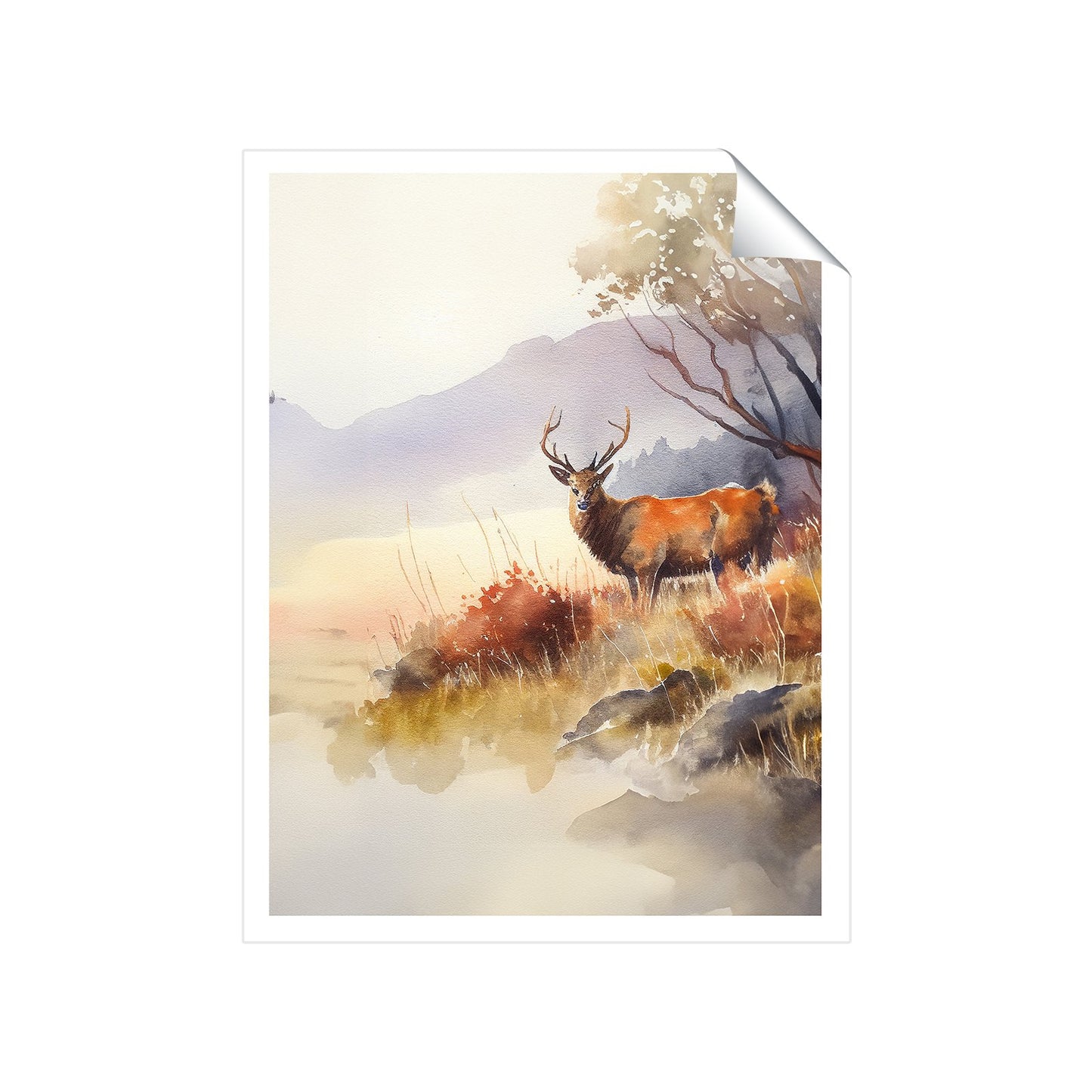 Stag Deer Water Colour Art Prints