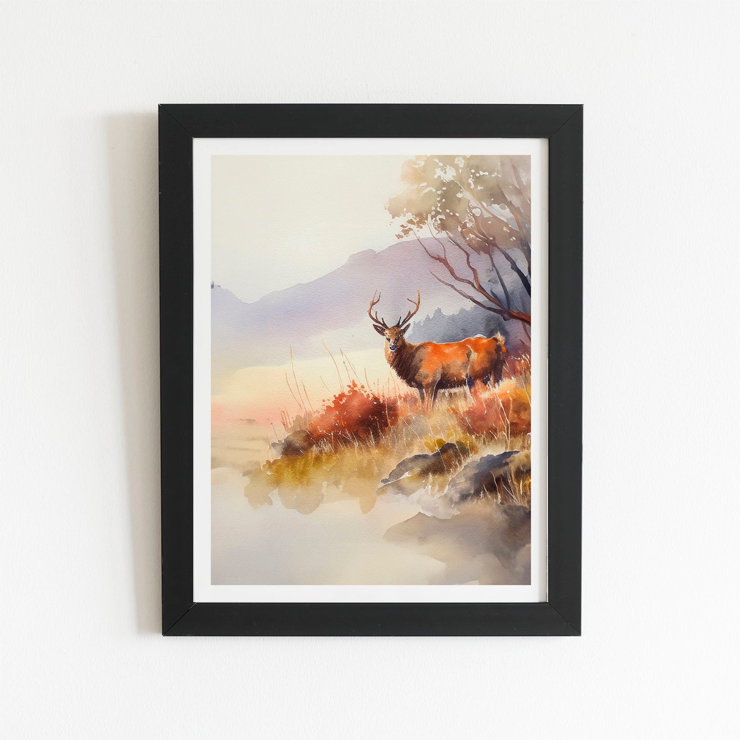 Stag Deer Water Colour Art Prints