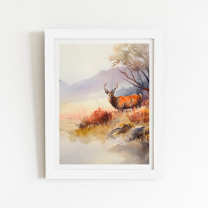 Stag Deer Water Colour Art Prints