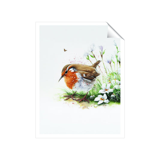 Robin And Daisies Watercolour Art Prints