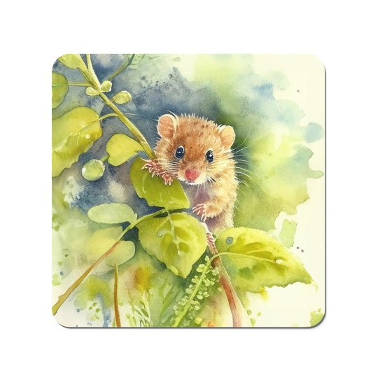 Dormouse Watercolour Coasters