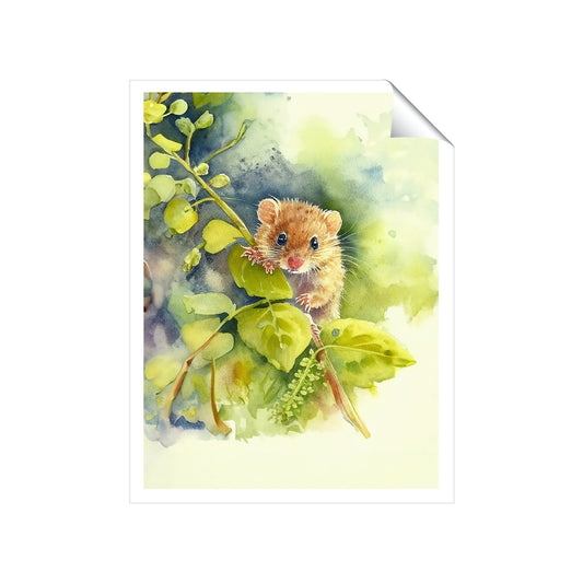 Dormouse Watercolour Art Prints