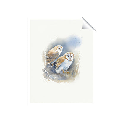 Barn Ano Owls Watercolour Art Prints