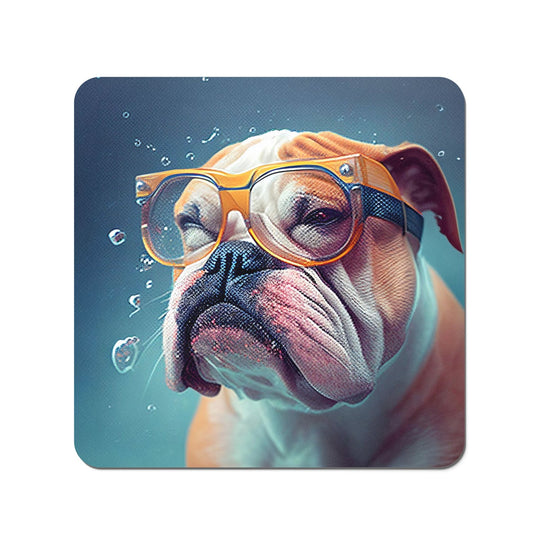 Bulldog Splashart Coasters