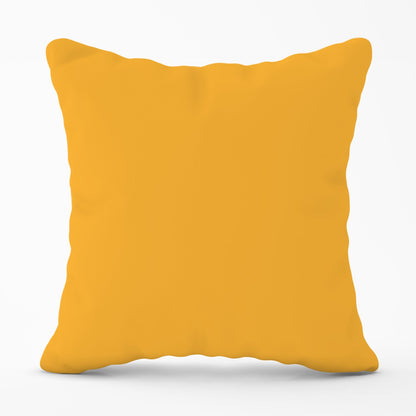 Cantaloupe Orange Outdoor Cushion